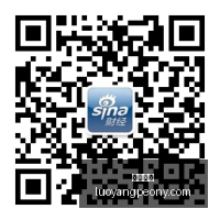 小米汽车大,放异彩,爆款车型累,大发彩票,大发购彩,彩票平台,彩票开奖,大发娱乐
