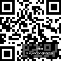 小米,电竞版发布,性能强劲预,大发彩票,大发购彩,彩票平台,彩票开奖,大发娱乐